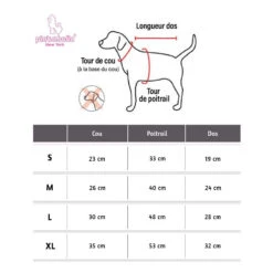 Pinkaholic Sweat à Capuche ANIKA | ROSE 9 Pinkaholic Sweat à Capuche ANIKA | ROSE -Fournitures Pour Chiens pinkaholic sweat a capuche anika rose 3