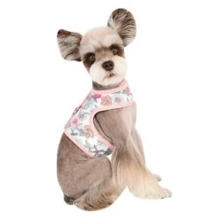 Pinkaholic Zinnia | Harnais Veste Pour Petit Chien à Fleurs | Rose 9 Pinkaholic Zinnia | Harnais Veste Pour Petit Chien à Fleurs | Rose -Fournitures Pour Chiens pinkaholic zinnia harnais veste pour petit chien a fleurs rose 2