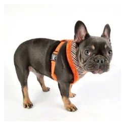 Puppia | Chien | Harnais AUDEN | Motif Pied De Poule | Fourrure Orange -Fournitures Pour Chiens puppia chien harnais auden motif pied de poule fourrure orange 2