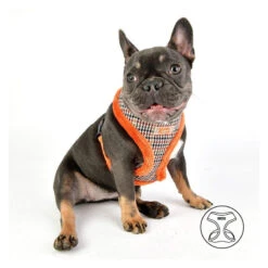 Puppia | Chien | Harnais AUDEN | Motif Pied De Poule | Fourrure Orange -Fournitures Pour Chiens puppia chien harnais auden motif pied de poule fourrure orange 3