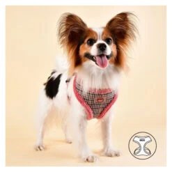 Puppia | Chien | Harnais AUDEN | Motif Pied De Poule | Fourrure Rose 10 Puppia | Chien | Harnais AUDEN | Motif Pied De Poule | Fourrure Rose -Fournitures Pour Chiens puppia chien harnais auden motif pied de poule fourrure rose 3