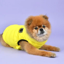 Puppia | Doudoune Ultralight | Jaune -Fournitures Pour Chiens puppia doudoune ultralight jaune 3
