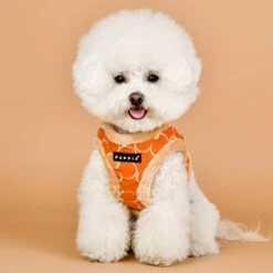 Puppia Florent | Harnais Veste Pour Chien Avec Fourrure | Orange 11 Puppia Florent | Harnais Veste Pour Chien Avec Fourrure | Orange -Fournitures Pour Chiens puppia florent harnais veste pour chien avec fourrure orange 3