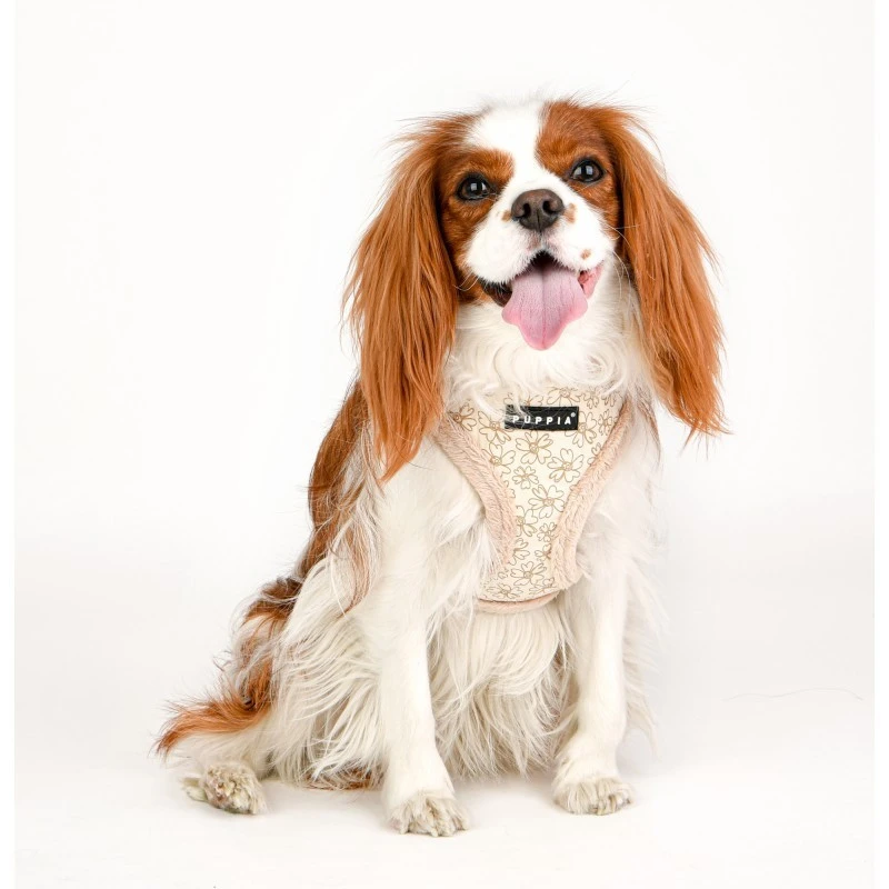 Puppia HEPATICA | Harnais Ajustable Pour Chien | Beige Avec Fourrure 6 Puppia HEPATICA | Harnais Ajustable Pour Chien | Beige Avec Fourrure – Image 4