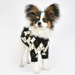 Puppia Jaden | Chien | Pull Jacquard Noir Et Blanc 8 Puppia Jaden | Chien | Pull Jacquard Noir Et Blanc -Fournitures Pour Chiens puppia jaden chien pull jacquard noir et blanc 1 2
