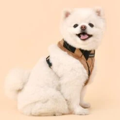 Puppia Jaden | Harnais Réglable Confort Pour Chien | Beige -Fournitures Pour Chiens puppia jaden harnais reglable confort pour chien beige 2