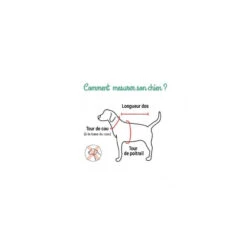 Tre Ponti Puppia Kent | Harnais Pour Chien Réglable Avec Fourrure | Rouge 9 Tre Ponti Puppia Kent | Harnais Pour Chien Réglable Avec Fourrure | Rouge -Fournitures Pour Chiens puppia kent harnais pour chien reglable avec fourrure rouge 2