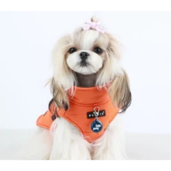 Puppia Mountaineer II | Doudoune Imperméable Pour Chien | Orange 9 Puppia Mountaineer II | Doudoune Imperméable Pour Chien | Orange -Fournitures Pour Chiens puppia mountaineer ii doudoune impermeable pour chien orange 3