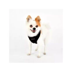 Puppia TERRY | Harnais Pour Chien En Suédine Avec Fourrure | Noir -Fournitures Pour Chiens puppia terry harnais pour chien en suedine avec fourrure noir 2