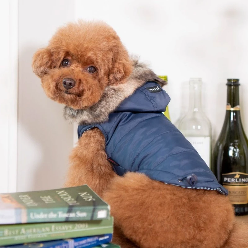 Puppia | VT1850 Doudoune Réversible Hollis | Bleu 7 Puppia | VT1850 Doudoune Réversible Hollis | Bleu – Image 5