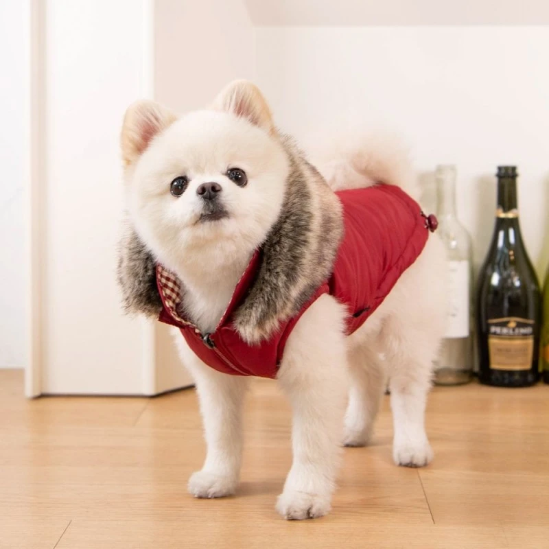 Puppia | VT1850 Doudoune Réversible Hollis | Rouge 7 Puppia | VT1850 Doudoune Réversible Hollis | Rouge – Image 5