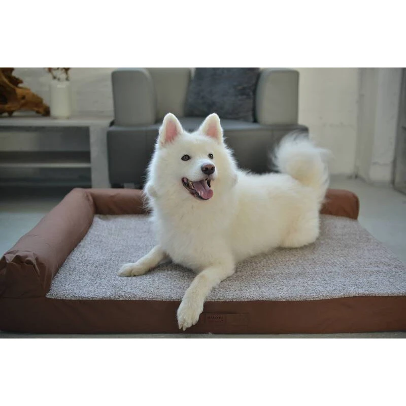 RAIKOU | Chien Et Chat | Matelas Marron épais Avec Repose Tête 4 RAIKOU | Chien Et Chat | Matelas Marron épais Avec Repose Tête – Image 2