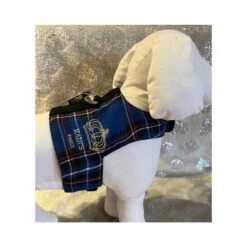 Rain's Paris | Chien | Harnais Gilet écossais Bleu Avec Laisse