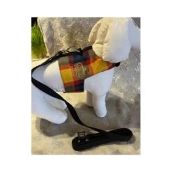 Rain's Paris | Chien | Harnais Gilet Madras Et Sa Laisse Noire