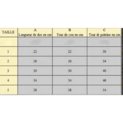 Rain's Paris | Petit Chien | Harnais Gilet écossais Avec Sa Laisse 9 Rain's Paris | Petit Chien | Harnais Gilet écossais Avec Sa Laisse -Fournitures Pour Chiens rain s paris petit chien harnais gilet ecossais avec sa laisse 3