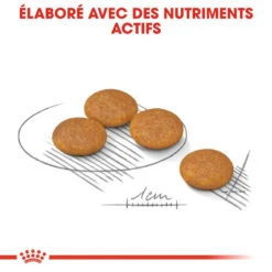 Royal Canin | Chien | Croquette Mini Dermaconfort 9 Royal Canin | Chien | Croquette Mini Dermaconfort -Fournitures Pour Chiens royal canin chien croquette mini dermaconfort 2
