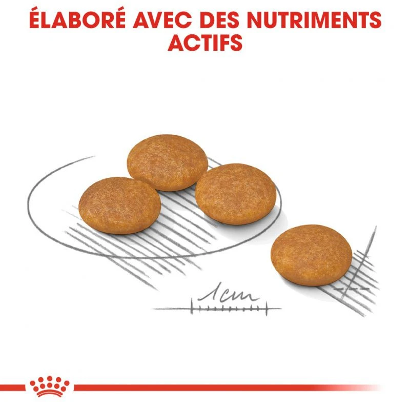 Royal Canin | Chien | Croquette Mini Dermaconfort 5 Royal Canin | Chien | Croquette Mini Dermaconfort – Image 3