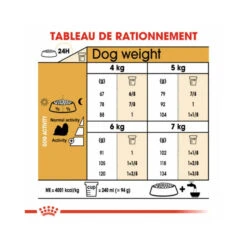 Royal Canin | Chien | Croquette Shin Tzu Adult 9 Royal Canin | Chien | Croquette Shin Tzu Adult -Fournitures Pour Chiens royal canin chien croquette shin tzu adult 3