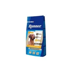 Runner | Chien | Croquette Adulte Maintenance