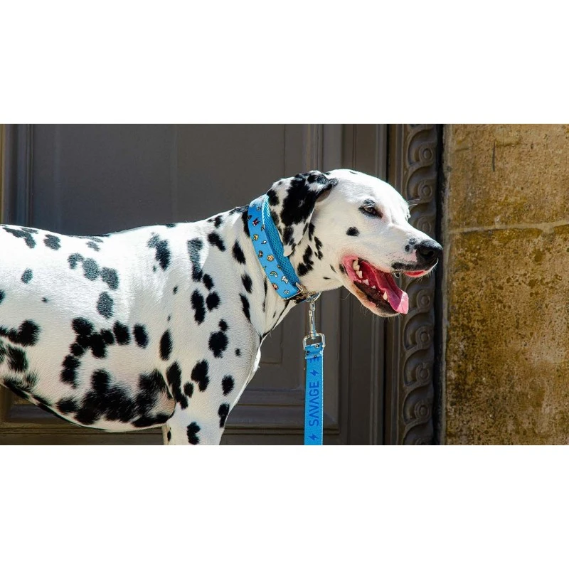 SAVAGE | Collier Dog Lover | Pour Chien 5 SAVAGE | Collier Dog Lover | Pour Chien – Image 3