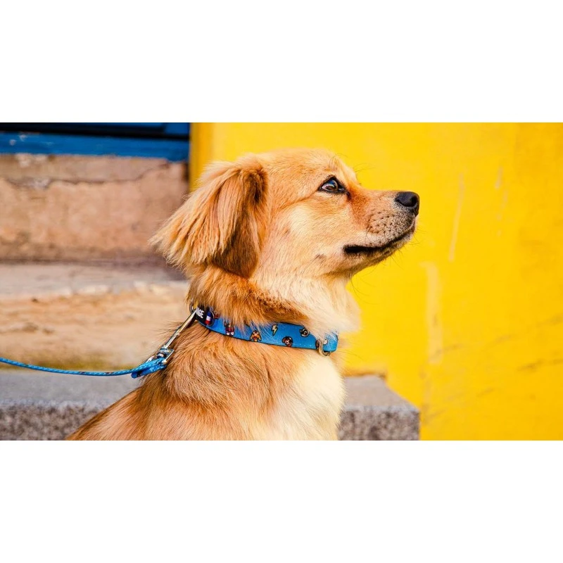 SAVAGE | Collier Dog Lover | Pour Chien 6 SAVAGE | Collier Dog Lover | Pour Chien – Image 4