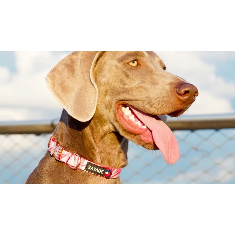Savage | Collier Pinkylicious | Pour Chien 5 Savage | Collier Pinkylicious | Pour Chien – Image 3