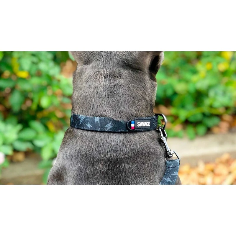 Savage | Collier Storm | Pour Chien 6 Savage | Collier Storm | Pour Chien – Image 4
