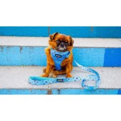 Savage | Harnais Dog Lover | Pour Chien 9 Savage | Harnais Dog Lover | Pour Chien -Fournitures Pour Chiens savage harnais dog lover pour chien 3