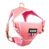 Savage| Harnais Pinkylicious | Pour Chien 1 Savage| Harnais Pinkylicious | Pour Chien -Fournitures Pour Chiens savage harnais pinkylicious pour chien