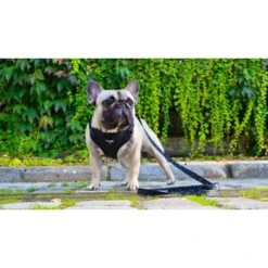 Savage | Harnais Storm | Pour Chien -Fournitures Pour Chiens savage harnais storm pour chien 3
