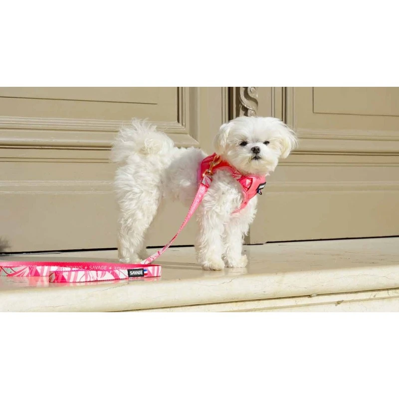 Savage | Laisse Pinkylicious | Pour Chien 5 Savage | Laisse Pinkylicious | Pour Chien – Image 3