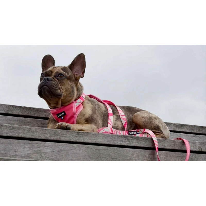 Savage | Laisse Pinkylicious | Pour Chien 6 Savage | Laisse Pinkylicious | Pour Chien – Image 4