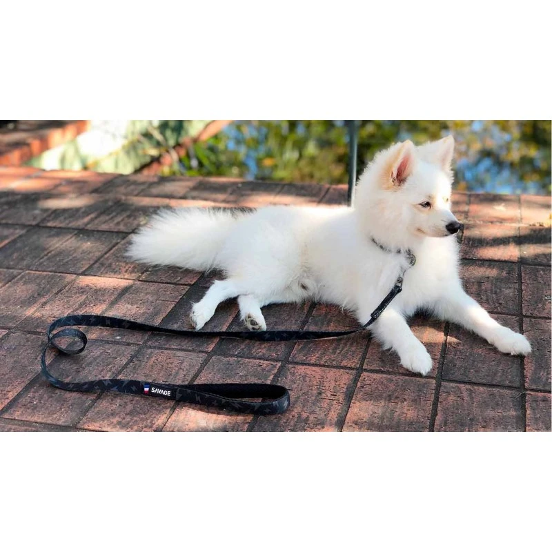 Savage | Laisse Storm | Pour Chien 5 Savage | Laisse Storm | Pour Chien – Image 3
