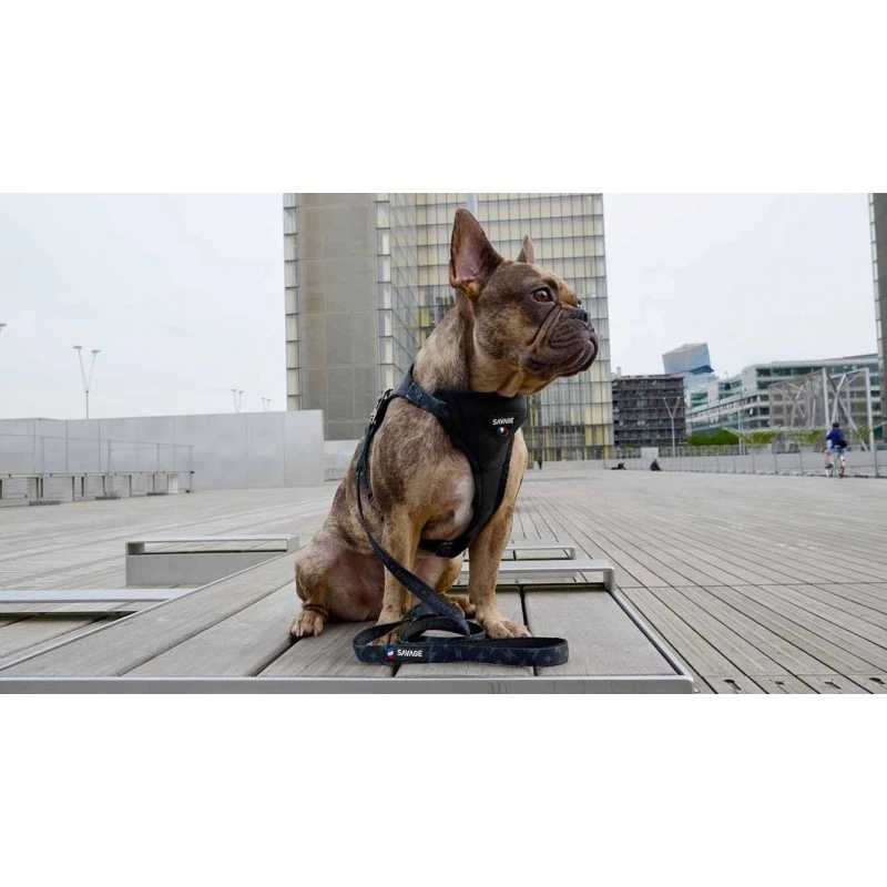 Savage | Laisse Storm | Pour Chien 6 Savage | Laisse Storm | Pour Chien – Image 4
