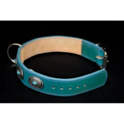 Soukha | Chien | Collier Conchos | Couleur Turquoise -Fournitures Pour Chiens soukha chien collier conchos couleur turquoise 2