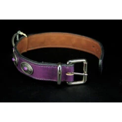 Soukha | Chien | Collier Conchos | Couleur Violette -Fournitures Pour Chiens soukha chien collier conchos couleur violette 2