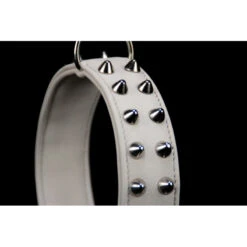 Soukha | Chien | Collier Taurillon Clouté 8 Soukha | Chien | Collier Taurillon Clouté -Fournitures Pour Chiens soukha chien collier taurillon cloute 1