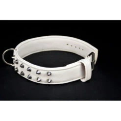 Soukha | Chien | Collier Taurillon Clouté 10 Soukha | Chien | Collier Taurillon Clouté -Fournitures Pour Chiens soukha chien collier taurillon cloute 3