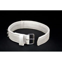 Soukha | Chien | Collier Taurillon Clouté 11 Soukha | Chien | Collier Taurillon Clouté -Fournitures Pour Chiens soukha chien collier taurillon cloute 4