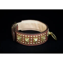 Soukha | Chien | Collier Trésor 19 Soukha | Chien | Collier Trésor -Fournitures Pour Chiens soukha chien collier tresor 7