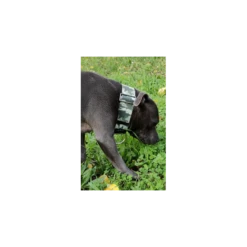 The Blue S | Chien | Collier Army Of Me | Camouflage Vert 19 The Blue S | Chien | Collier Army Of Me | Camouflage Vert -Fournitures Pour Chiens the blue s chien collier army of me camouflage vert 8