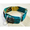 The Blue S | Chien | Collier LAGOS Vert Majoritaire Taille M