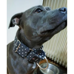 The Blue S | Chien | Collier Spot The Dot | Noir Avec Pois Blanc -Fournitures Pour Chiens the blue s chien collier spot the dot noir avec pois blanc 6