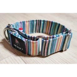 The Blue S | Chien | Collier Transat Au Soleil |Vert