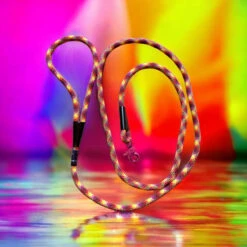 The Blue S | Chien | Laisse Corde BIKINI 210 Cm -Fournitures Pour Chiens the blue s chien laisse corde bikini 210 cm 2