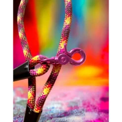 The Blue S | Chien | Laisse Corde Short BIKINI