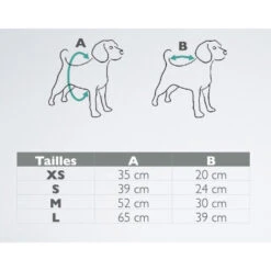 The Blue S | Chien | T-Shirt UPCYCLED | Gris Et Strass 9 The Blue S | Chien | T-Shirt UPCYCLED | Gris Et Strass -Fournitures Pour Chiens the blue s chien t shirt upcycled gris et strass 3