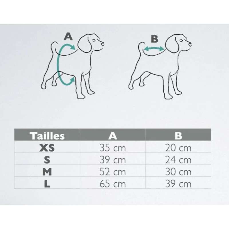 The Blue S | Chien | T-Shirt UPCYCLED | Gris Et Strass 6 The Blue S | Chien | T-Shirt UPCYCLED | Gris Et Strass – Image 4