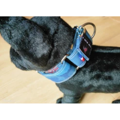 The Blue S | Chiens | Collier Sweet Jeans Star Power -Fournitures Pour Chiens the blue s chiens collier sweet jeans star power 3