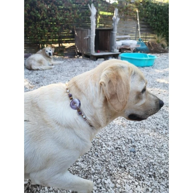 The Soul Key | Collier Personnalisé Fait Main Pour Chien Et Chat | Lithothérapie Animale 6 The Soul Key | Collier Personnalisé Fait Main Pour Chien Et Chat | Lithothérapie Animale – Image 4